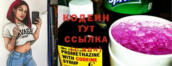 ПСИЛОЦИБИНОВЫЕ ГРИБЫ Заволжье