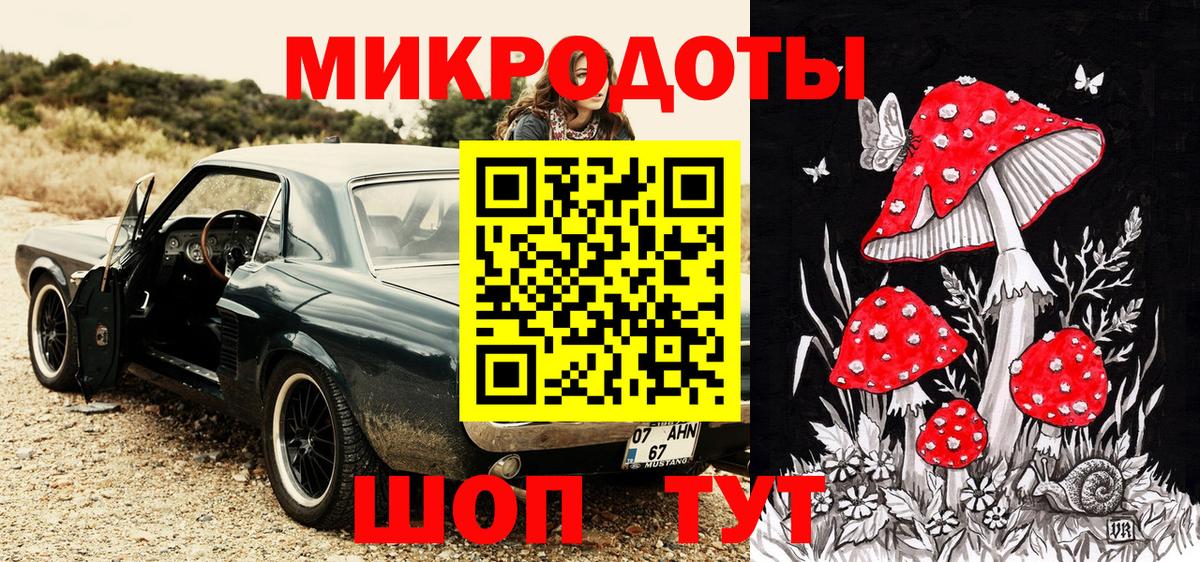 Галлюциногенные грибы Psilocybine cubensis Борисоглебск