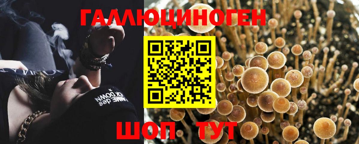 Борисоглебск  Псилоцибиновые грибы ЛСД  Галлюциногенные грибы Psilocybine cubensis  Вход с VPN 