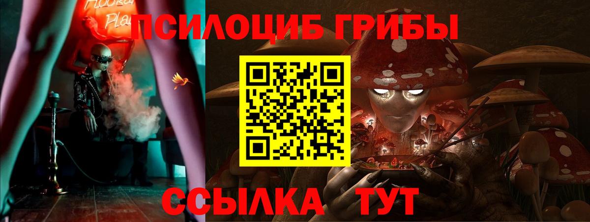 Галлюциногенные грибы Cubensis  Борисоглебск 